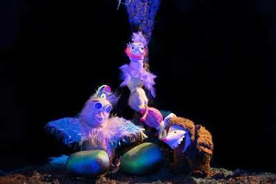 Umudunu Yitirmeyen Sığırcık